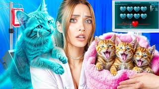 Мы спасли бездомную кошку! Строим домик для котят