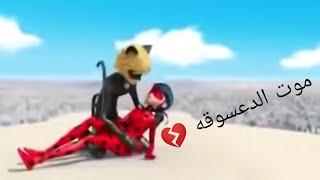 موت الدعسوقه وحزن القط الاسود عليها  حزين جدا  neshooni