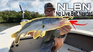 Does NLBN LURES Live up to the HYPE?? [NO LIVE BAIT NEEDED 3" PADDLE TAIL SWIMBAIT]