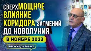 ️ДО НОВОЛУНИЯ В НОЯБРЕ 2023 СВЕРХМОЩНОЕ ВЛИЯНИЕ КОРИДОРА ЗАТМЕНИЙ l ИЗ ВЕБИНАРА ЗАРАЕВА 27.10.2023