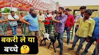 बकरी पालन की शुरुआत में बच्चे ले या बड़ी बकरी ले| Sr commercial Goat Training| 9350146903