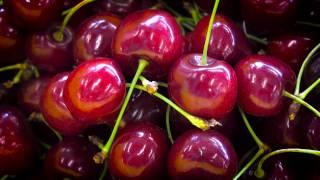 Perfect Cherries From Tree to Table