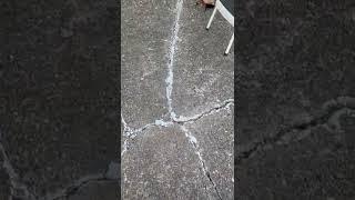 driveway cracks repair