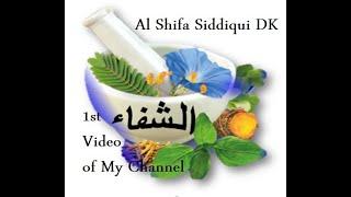 Introduction Video of Al Shifa Siddiqui DK