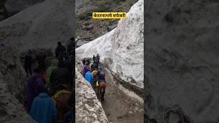 Kedarnath Yatra Today Live Update #shorts #kedarnath #kedarnathyatra2023