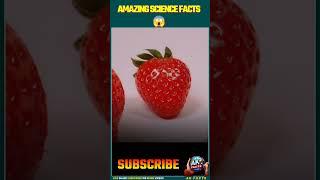 HUMAN FACTS #facts #akfacts #amazingfacts #amazing #shortsfeed #shorts #trending #trendingshorts #yt