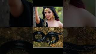 Naagin vs Naagin 6