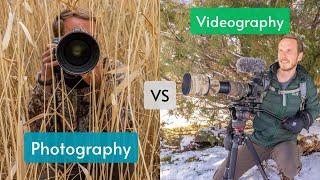 Wildlife Photography VS Videography, when to use each one in your photography. Pros & cons to each.