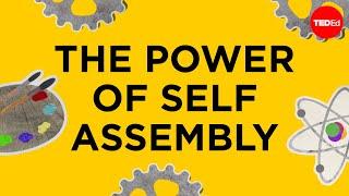 Self-assembly: The power of organizing the unorganized - Skylar Tibbits