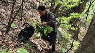시골로 와서 극한직업을 선택해 산으로만 돌아다니는 생활