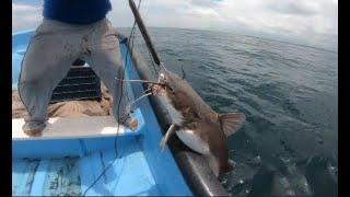 PESCA DE BAGRE GIGANTE, Pesca con Simbra