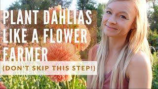 How to plant TONS of dahlias (don't forget this important step!)