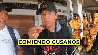 ¡COMIENDO GUSANOS POR PRIMERA VEZ EN LA SELVA! | Iquitos 2023 (2/5)