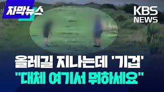 제주 올레길 지나는데 '기겁'..."대체 여기서 뭐하세요" / KBS 2024.07.05.