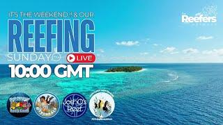 "REEFING SUNDAY" Live Stream with Guest Hobbyist "@gillsaquarium"