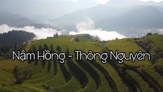 Cảnh đẹp ruộng bậc thang Nậm Hồng Thông Nguyên