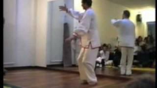 kungfu Fu style zonghe neijia quan mpeg