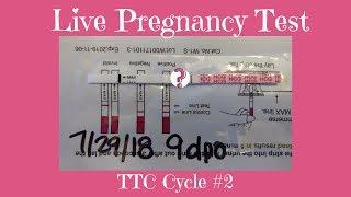 Live Pregnancy Test at 9DPO| Unicornuate Uterus| TTC Journey