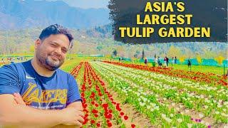 Tulip Garden Srinagar 2022 | Asia's Largest Tulip Garden  - Explore Kashmir