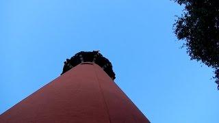 Jupiter Lighthouse Tour - Jupiter, FL