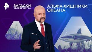 Альфа-хищники океана — Загадки человечества (18.11.2024)