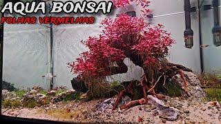 PLANTAMOS O AQUÁRIO BONSAI COM UMA PLANTA VERMELHA