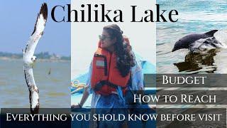 Chilika Lake Odisha:Asia's biggest brackish water lake| Watch Dolphin to Gulls