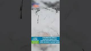 Чиновник украл ель у россиянки и установил ее на городской площади #белореченск #майкоп #челябинск