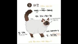 버만 고양이 그림 공부