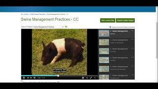 Swine Management Practices Part 1