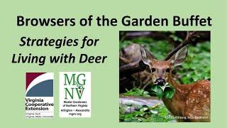 Browsers of the Garden Buffet: Deer