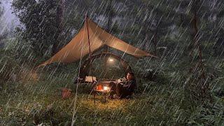 THE COMFORT OF SOLO CAMPING IN THE RAIN IN THE SILENT FOREST - RELAXATION - ASMR