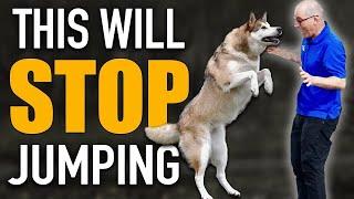 Do You Have A Dog Breed That LOVES To Jump?