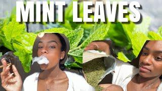 Can you smoke MINT leaves ? Safe way to QUIT SMOKING | No NICOTINE WITHDRAWAL