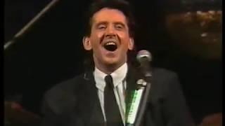 THE SEARCHERS - 30 GLORIOUS YEARS (HULL '91)