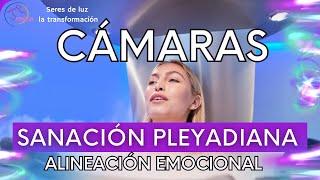 CÁMARAS CUÁNTICAS DE SANACIÓN  PLEYADIANA  ALINEACIÓN EMOCIONAL Seres de luz la transformación