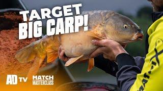 Paste Fishing for Big Carp – Match Masterclass