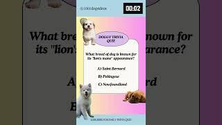 Daily Dog trivia quiz #puppy #dog #doglover #yourdog #dogtrivia #dogchallenge #dogchannel