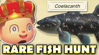  COELACANTH HUNT!  Animal Crossing New Horizons RARE FISH HUNT!