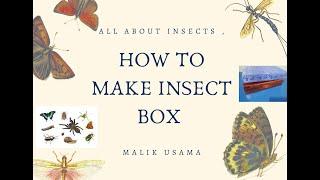 How To Make An Insect Box  All about insects