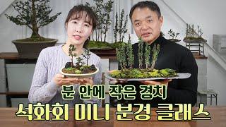 [4월 오픈] 석화회 미니 분경 클래스, “작은 화분 안에 동양화 담기”│4가지 합식법 공개!!