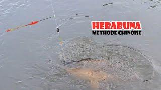 herabuna - 8kg carp with cheap 3m chinese telescopic rod