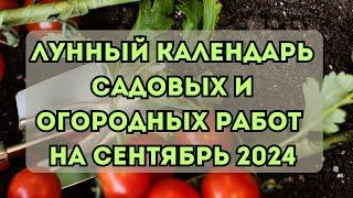 Лунный посевной календарь садовода и огородника на сентябрь 2024. Сеем по луне