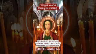 Ты ещё жив — поблагодари Бога прямо сейчас  Удели 7 секунд для благодарности!