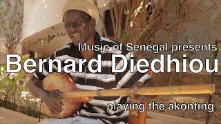 Bernard Diedhiou - Akonting player, West Africa, Music of Senegal