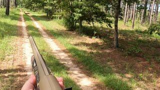 SC Deer Dog Drives 8/24/24: Jumps on cam!