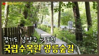 광릉숲길 산책 | 봉선사에 주차하고 국립수목원까지 산책해요 | 남양주에서 포천의 경계