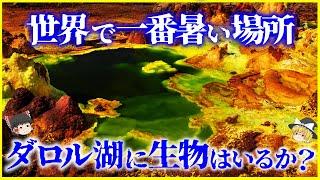 【ゆっくり解説】絶対に触れるな…地球で一番暑い場所「ダロル湖」に生物はいるか？を解説