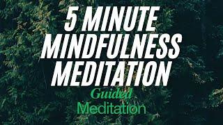 5-Minute Guided Mindfulness Meditation for Calm and Focus