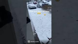 How to remove WINTER